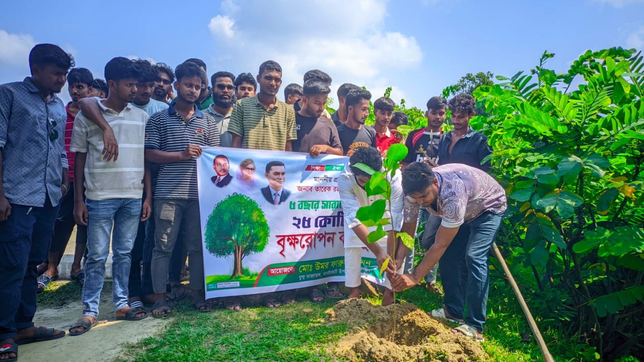 ধামইরহাটে পরিবেশের ভারসাম্য রক্ষায় ছাত্রদলের বৃক্ষরোপণ