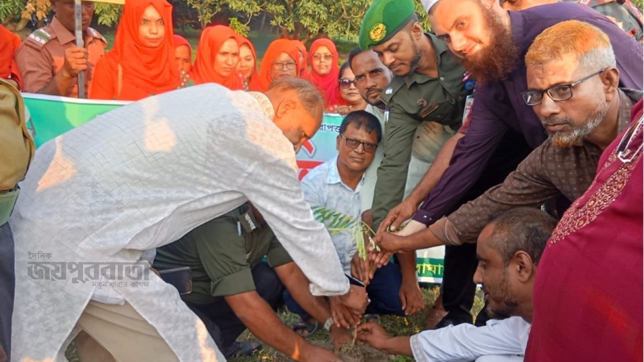 বাঘায় আনসার-ভিডিপির বৃক্ষ রোপণ