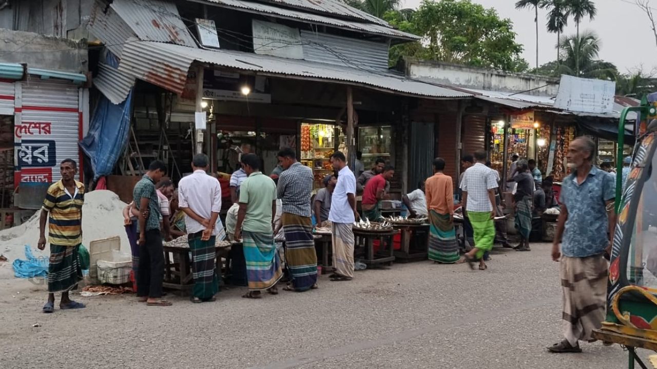 ভোলা পূর্ব ইলিশা জংশন বাজার দখল করে মাছ বিক্রি 