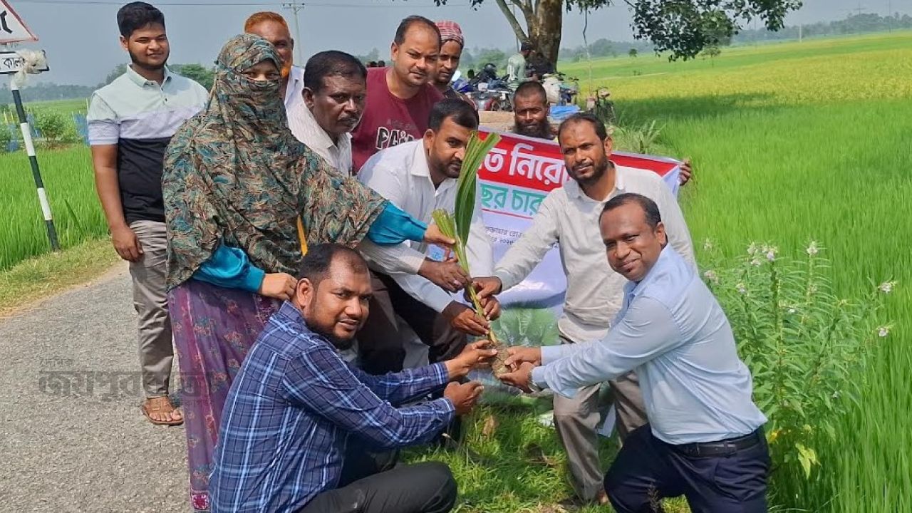 বজ্রপাত নিরোধনে জয়পুরহাটে ২০০ তালের চারা রোপন 