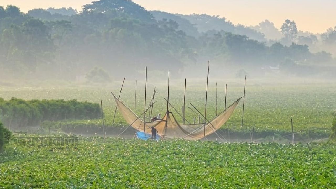 আশ্বিনেই ক্ষেতলালে শীতের আগমনী বার্তা