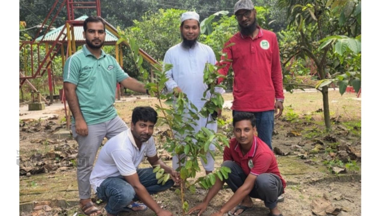 ধুনট উপজেলা প্রেসক্লাবের উদ্যোগে বৃক্ষরোপণ
