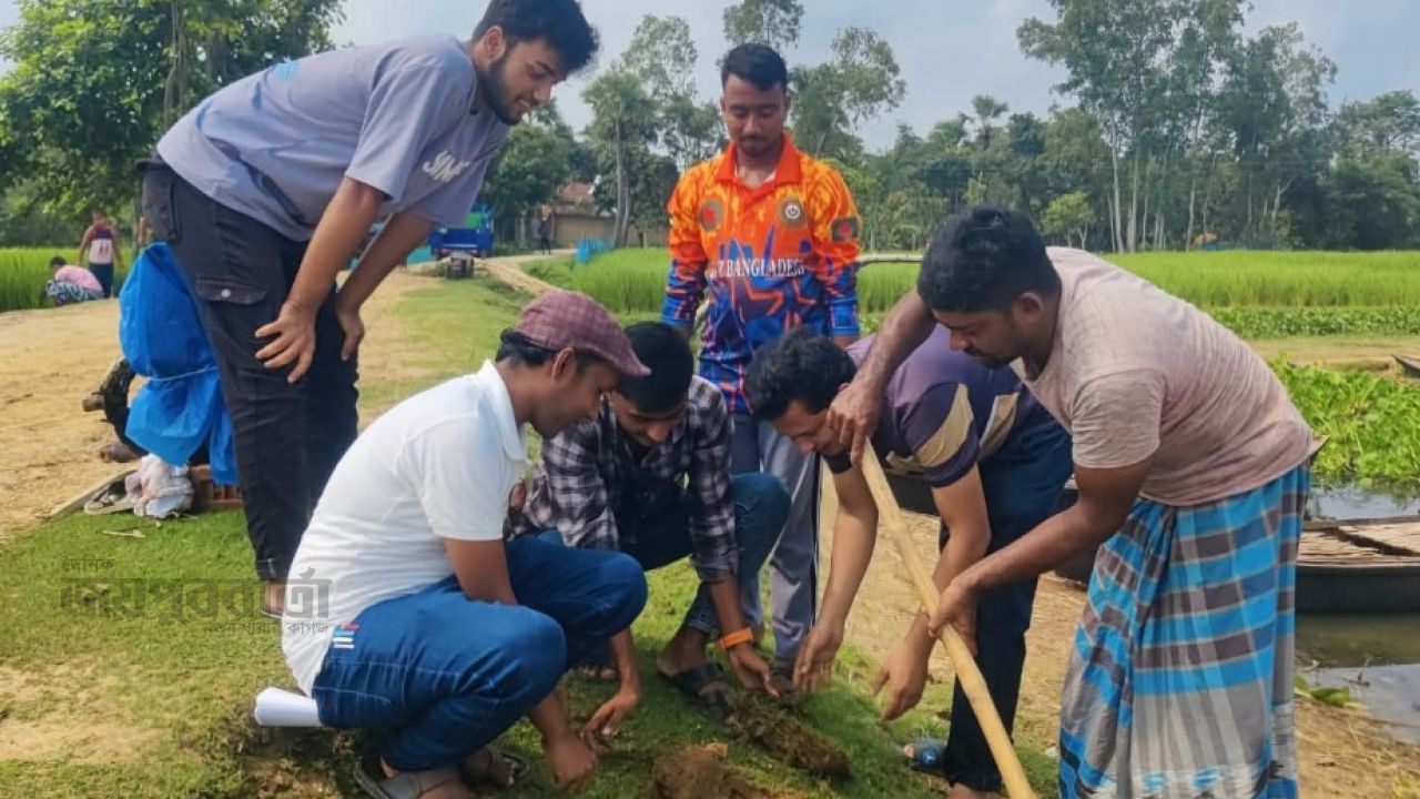 সাপাহারে জবই বিল পাড়ে তালবীজ রোপণ কর্মসূচি অনুষ্ঠিত