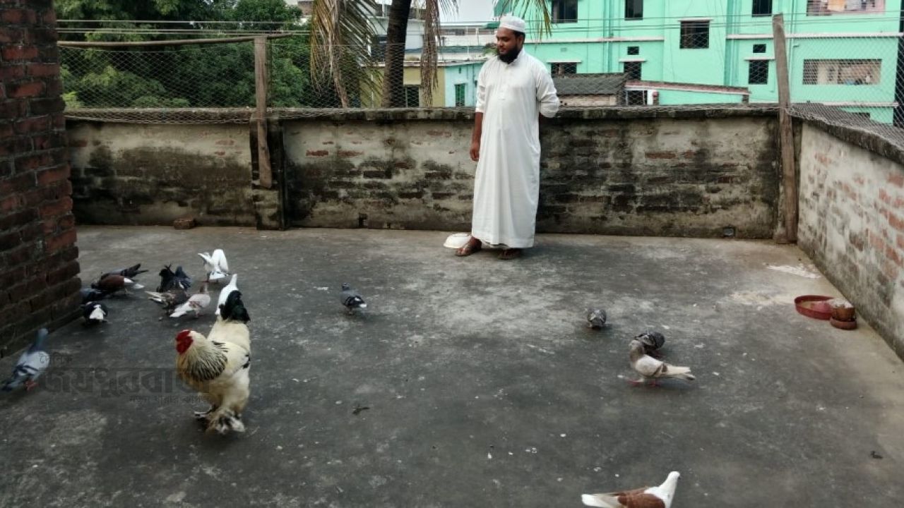  ছাদের ওপর মিশ্র খামার, স্বাবলম্বী হওয়ার স্বপ্ন দেখছেন মাহমুদুল্লাহ 