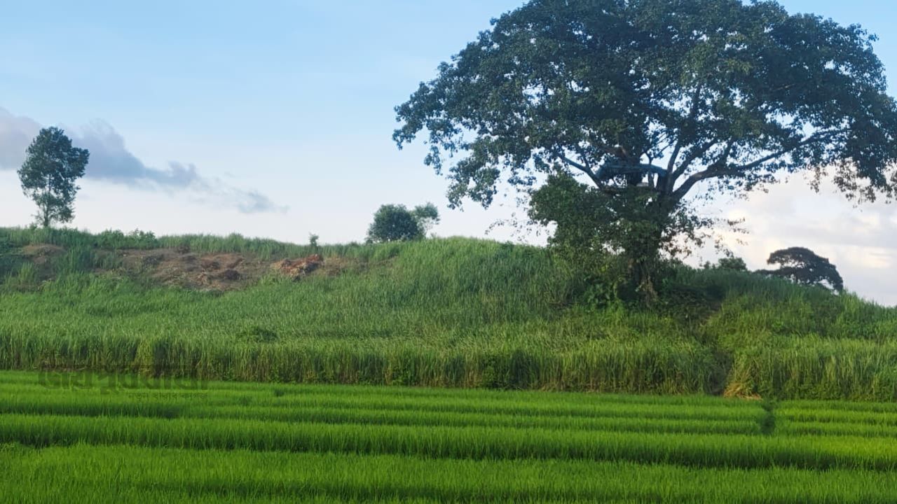 চুনতি অভয়ারণ্যে জবর দখলকারীদের নাম প্রকাশ্যে 