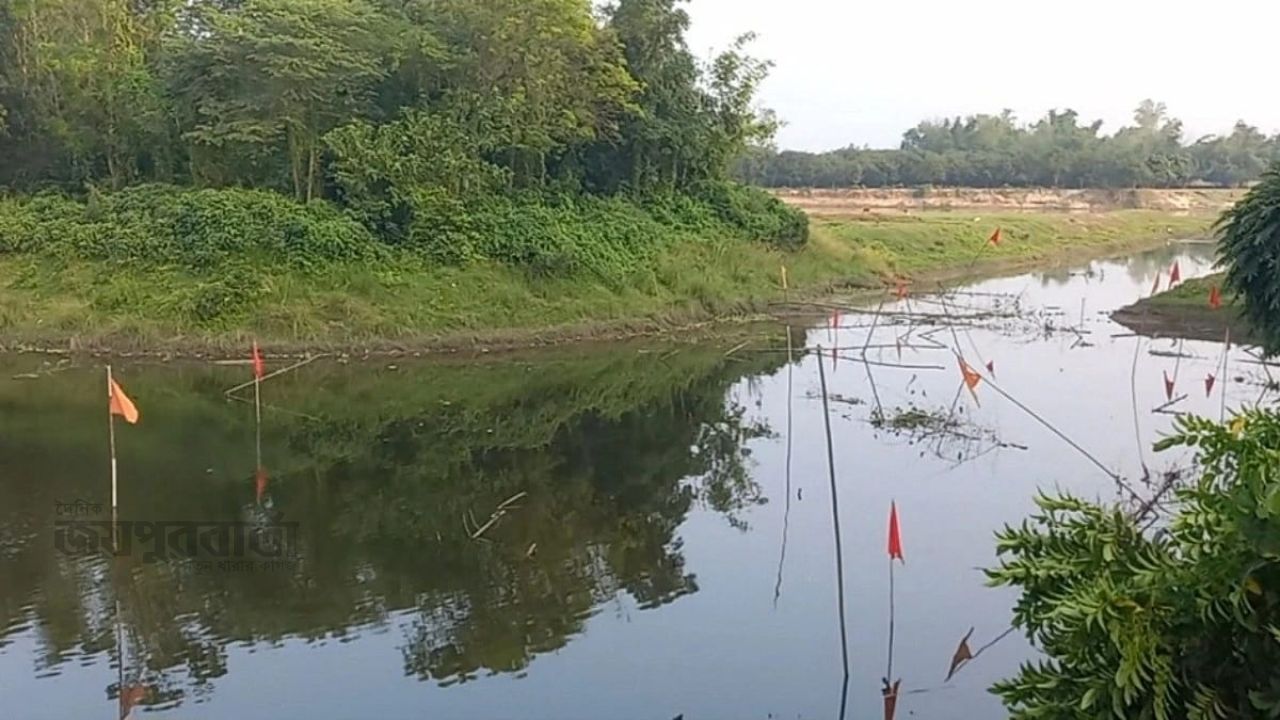 পীরগঞ্জে হুমকির মুখে পড়েছে  মৎস্য অভয়াশ্রম 