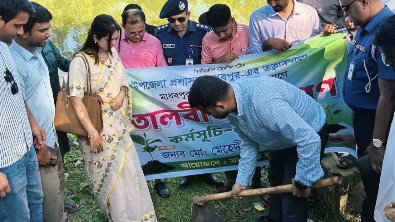 মাধবপুরে বিভিন্ন সড়কে প্রায় ৭ হাজার তালবীজ রোপণ
