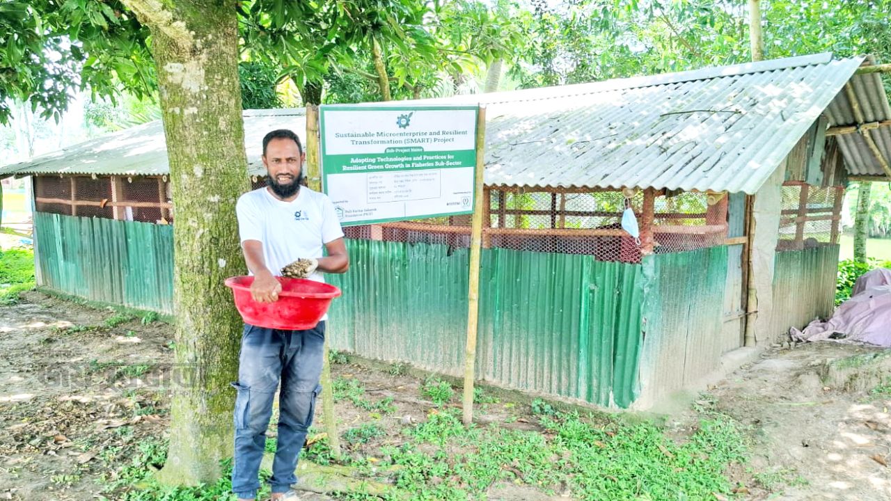 রাণীনগরে কালো সৈনিক পোকা চাষে প্রতিবন্ধী নাহিদ হোসেনের সফলতা