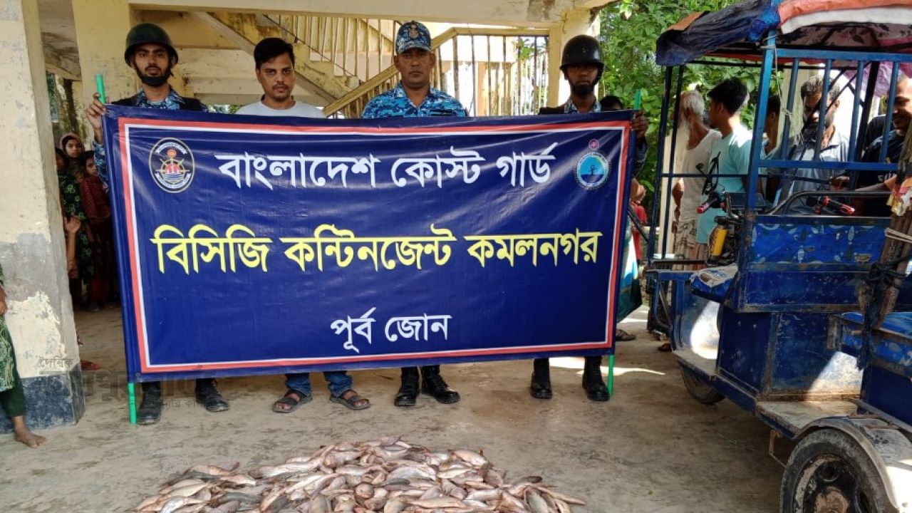 কমলনগরে অবৈধ জাল ও ২৪০ কেজি মা-ইলিশ জব্দ