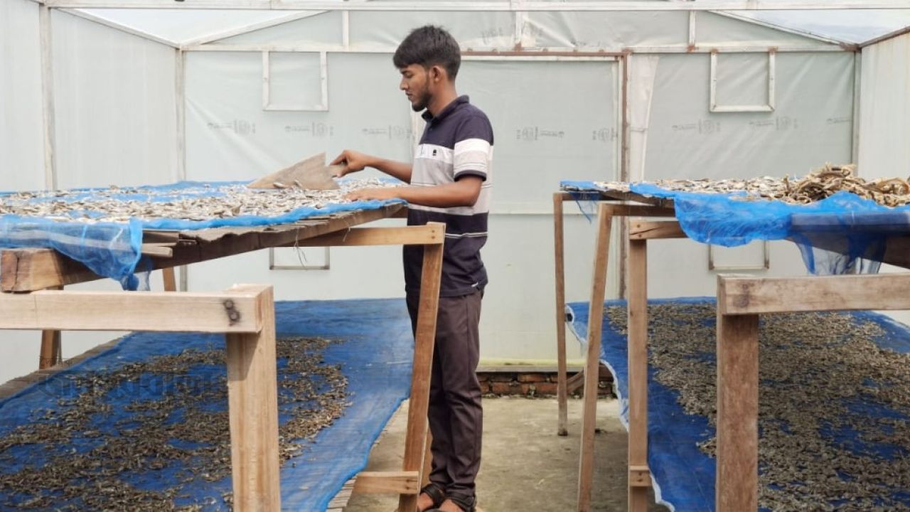 আত্রাইয়ে আধুনিক ‘গ্রিন হাউজ ফিশ ড্রায়ার’ প্রযুক্তিতে শুঁটকি চাষ!!