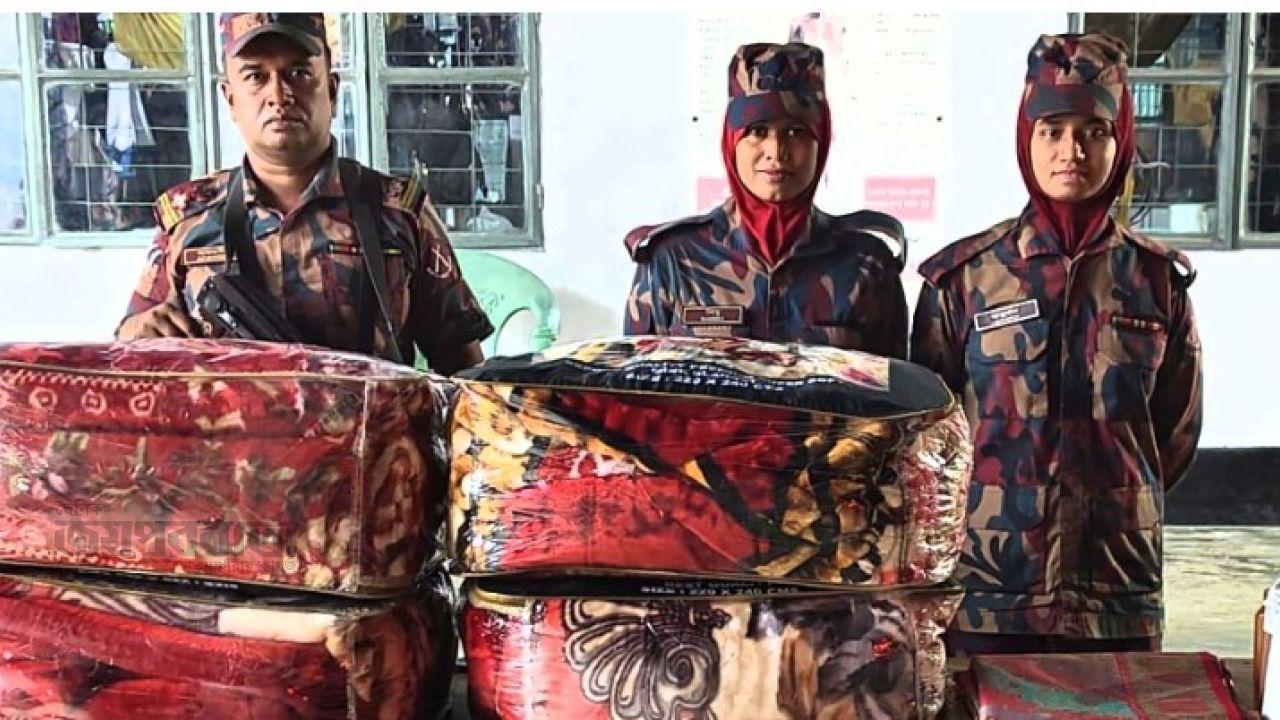 ‎হিলিতে বিজিবির অভিযানে ভারতীয় অবৈধ মালামাল জব্দ