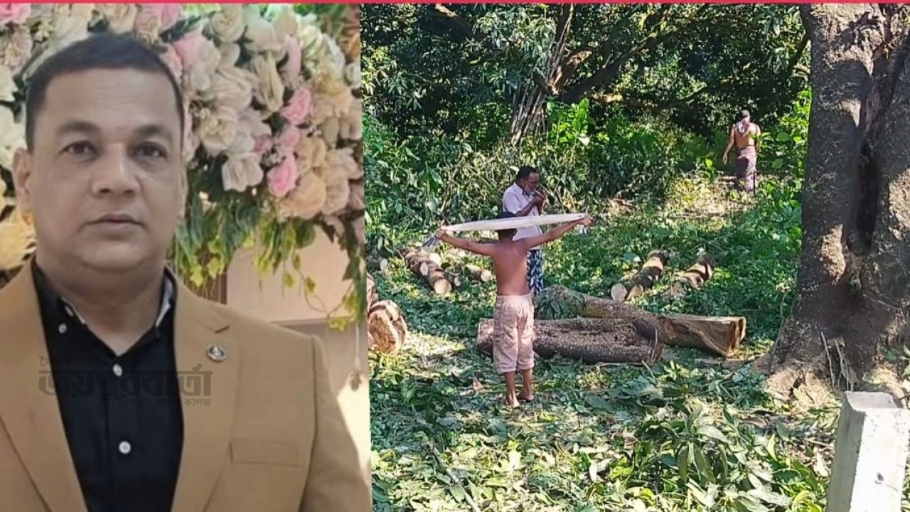 চাঁপাইনবাবগঞ্জে অংশীদারদের না জানিয়ে আমগাছ বিক্রির অভিযোগ