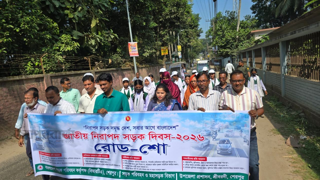 শ্রীবরদীতে জাতীয় নিরাপদ সড়ক দিবস উপলক্ষ্যে রোড-শো